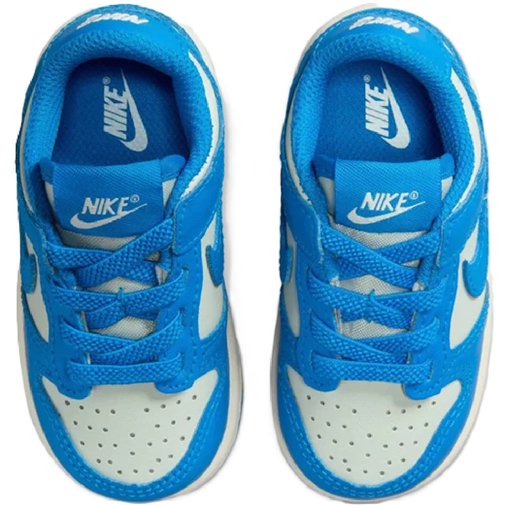 Toddler's Nike Dunk Low Light Silver/LT Photo Blue (FB9107 004)